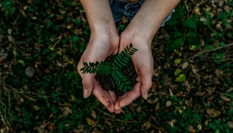 12 gestes écologiques simples pour protéger l’environnement